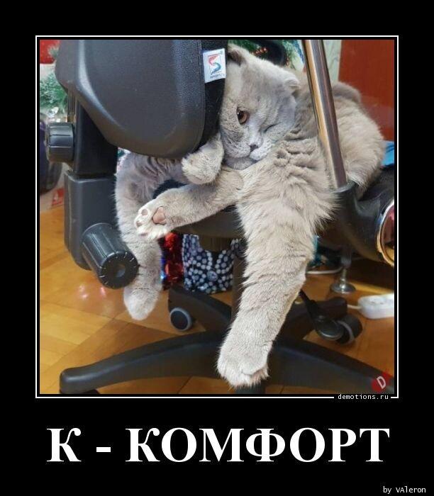 Демотиваторы понедельника (20 фото)