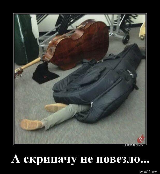 Демотиваторы понедельника (20 фото)