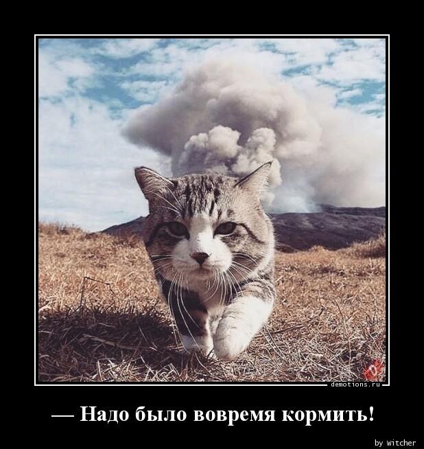 Демотиваторы пятницы (15 фото)