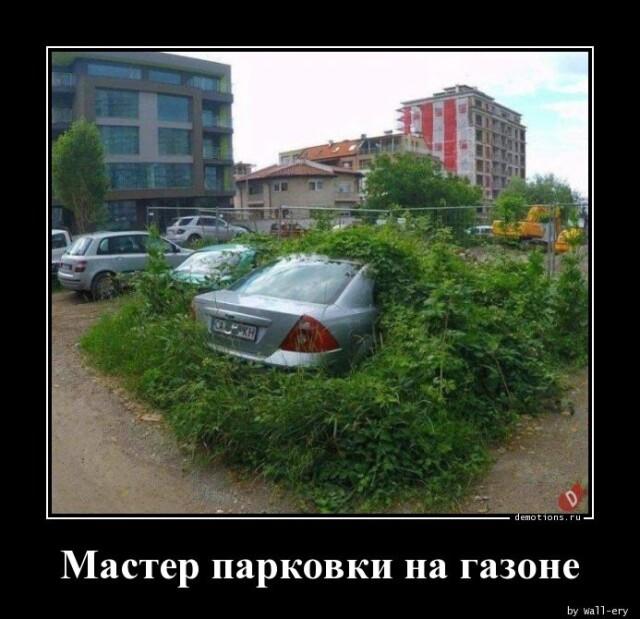 Демотиваторы пятницы (15 фото)