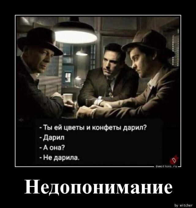   (13 )