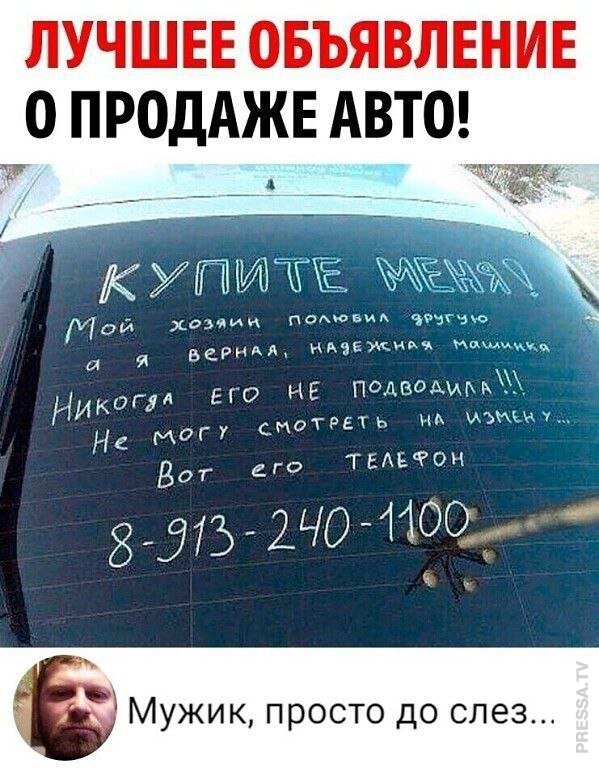 Веселые картинки для настроения (20 фото)