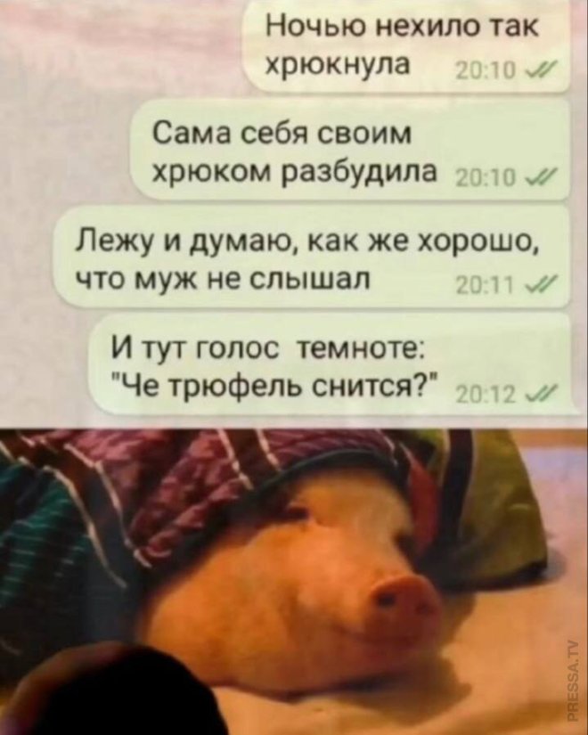 Веселые картинки для настроения (20 фото)