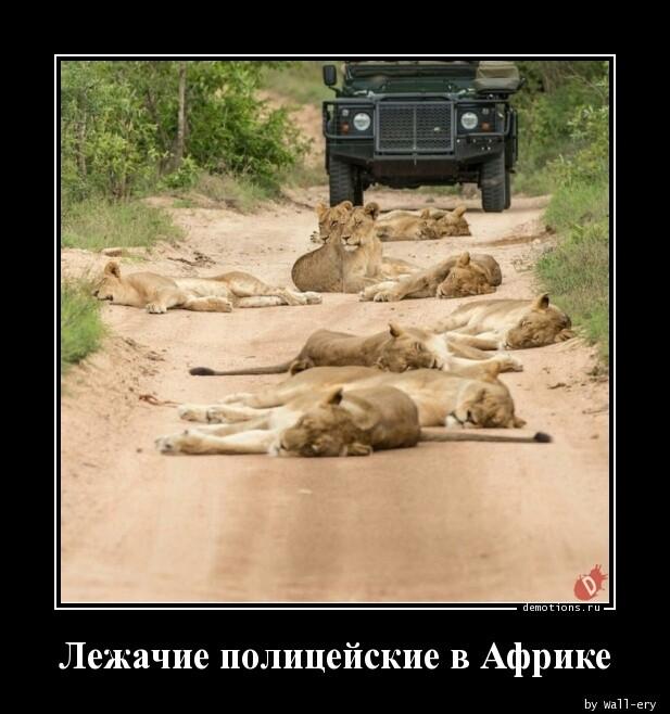 Демотиваторы понедельника (20 фото)