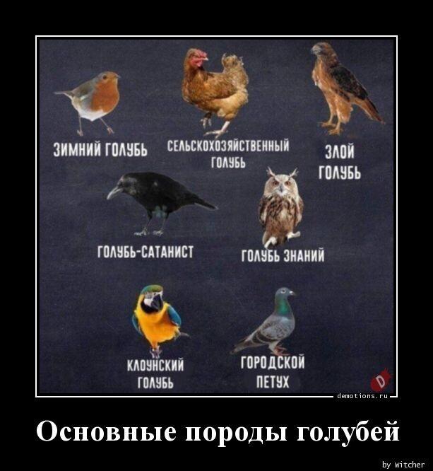 Демотиваторы понедельника (20 фото)
