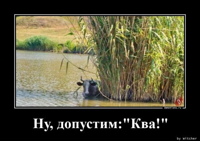Демотиваторы понедельника (20 фото)