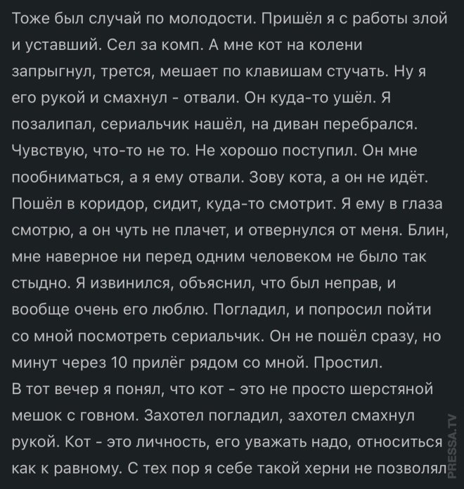 !      (22 )