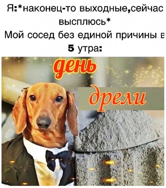 Свежие приколы и мемы из сети (20 фото)