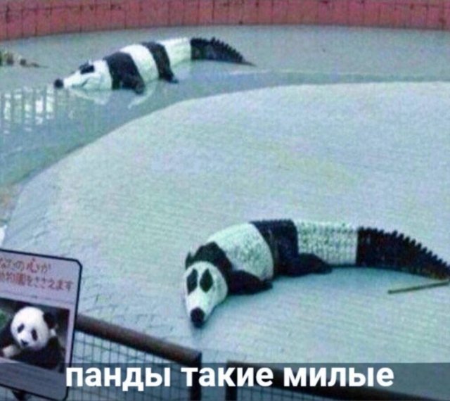 Свежие приколы и мемы из сети (20 фото)