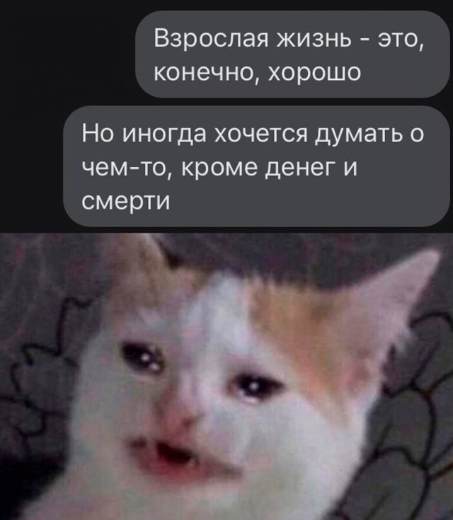 Свежие приколы и мемы из сети (20 фото)