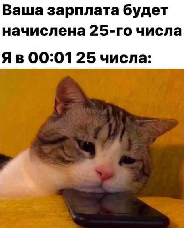 Свежие приколы и мемы из сети (20 фото)