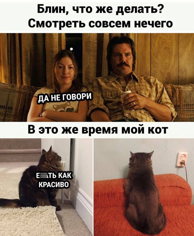 Свежие приколы и мемы из сети (20 фото)