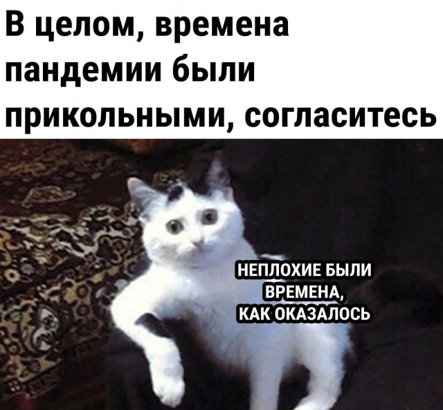 Свежие приколы и мемы из сети (20 фото)