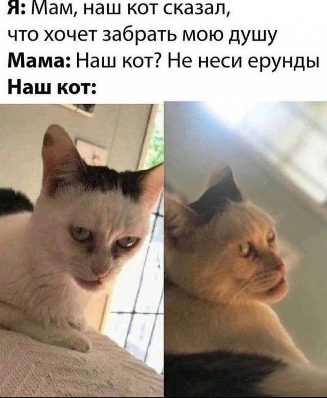Свежие приколы и мемы из сети (20 фото)