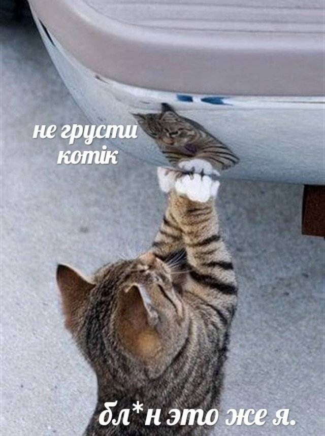 Свежие приколы и мемы из сети (20 фото)