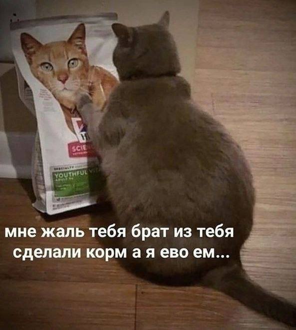Свежие приколы и мемы из сети (20 фото)