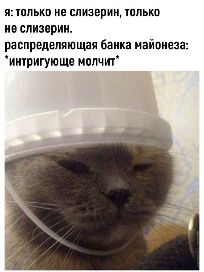 Свежее ассорти приколов и мемов (40 фото)