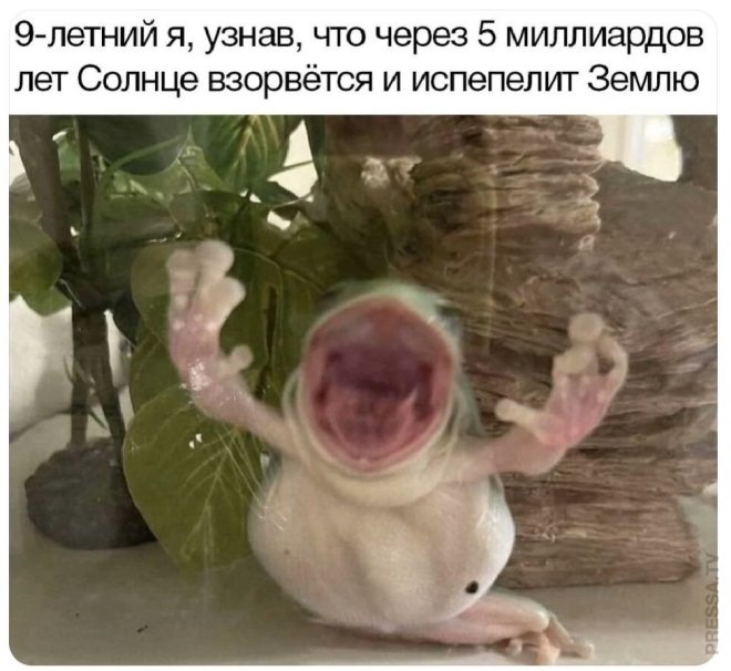 Свежее ассорти приколов и мемов (40 фото)