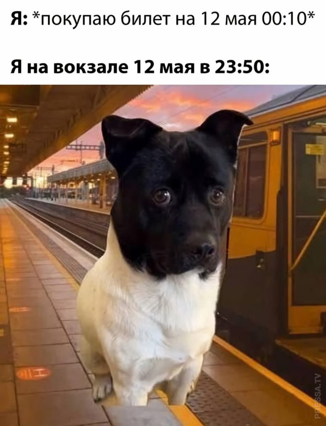 Свежее ассорти приколов и мемов (40 фото)