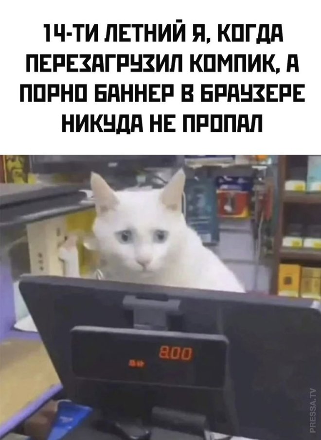 Свежее ассорти приколов и мемов (40 фото)