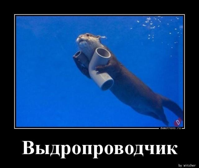 Демотиваторы понедельника (12 фото)