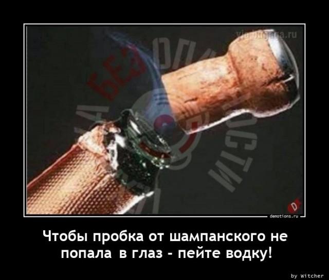 Демотиваторы понедельника (12 фото)