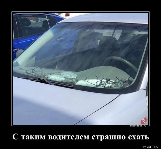 Демотиваторы понедельника (12 фото)