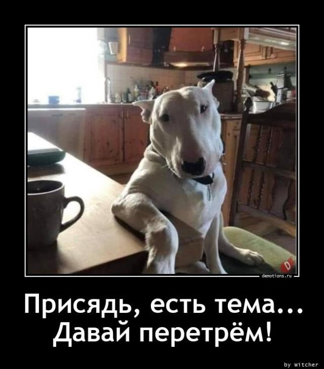 Демотиваторы понедельника (12 фото)