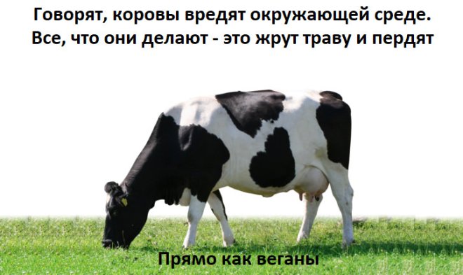 Улётные мемы и приколы из сети (40 фото)