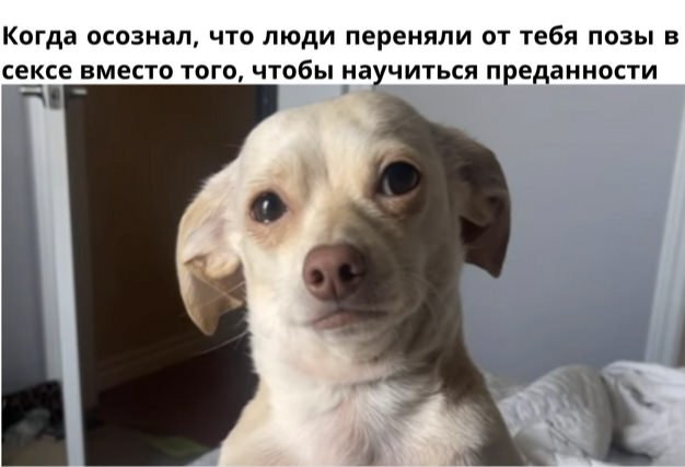 Улётные мемы и приколы из сети (40 фото)