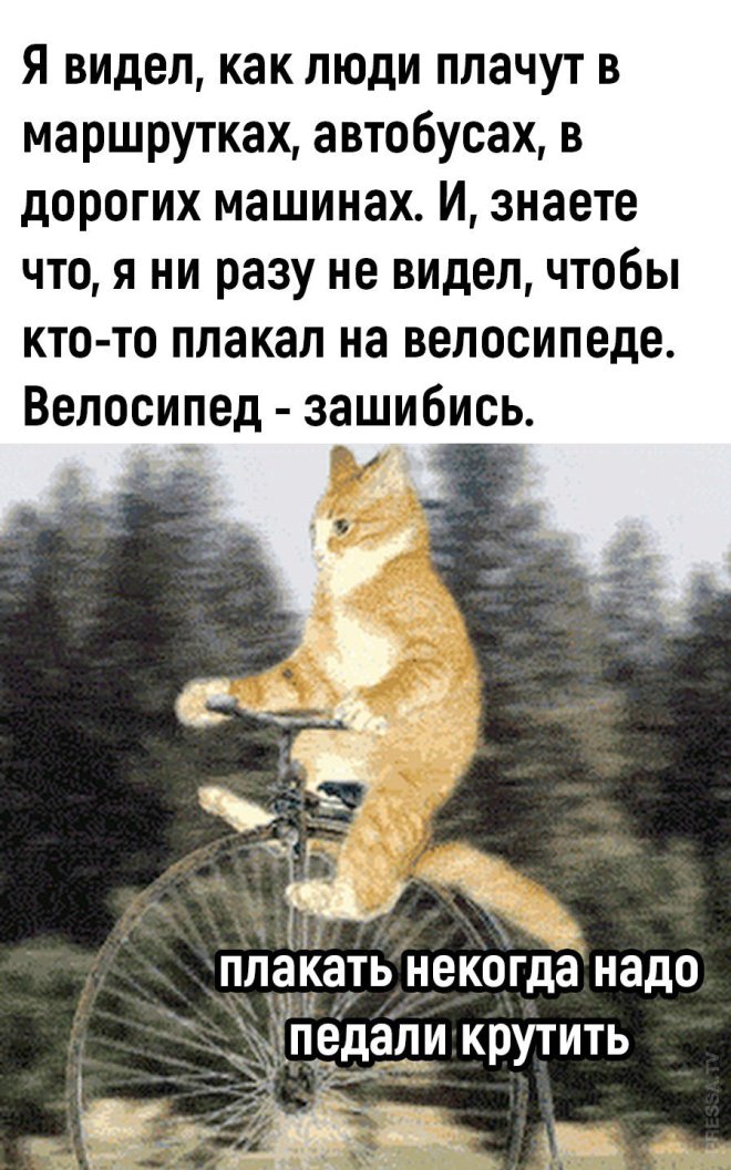 Улётные мемы и приколы из сети (40 фото)
