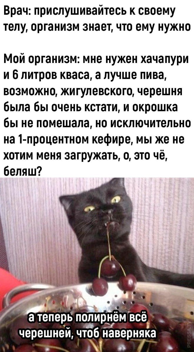 Улётные мемы и приколы из сети (40 фото)