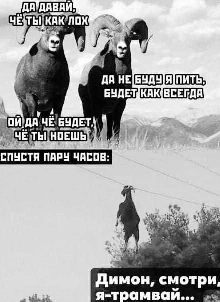 Улётные мемы и приколы из сети (40 фото)