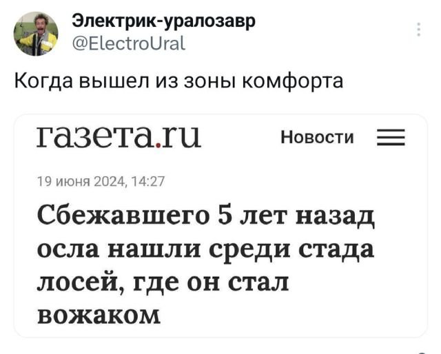 Свежее из твитттер (15 фото)