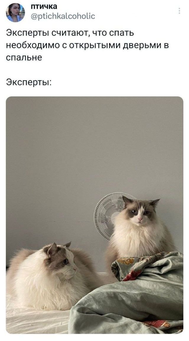 Свежее из твитттер (15 фото)