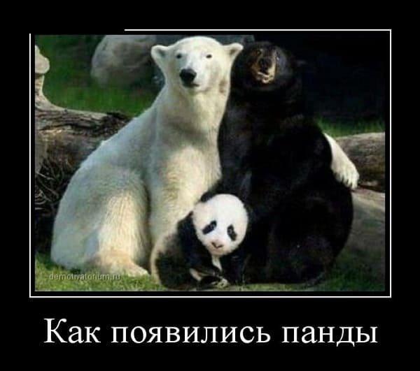 Демотиваторы четверга (20 фото)