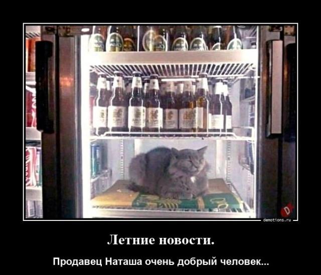Демотиваторы четверга (20 фото)