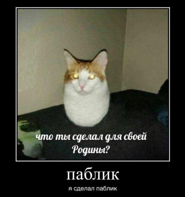 Демотиваторы вторника (20 фото)