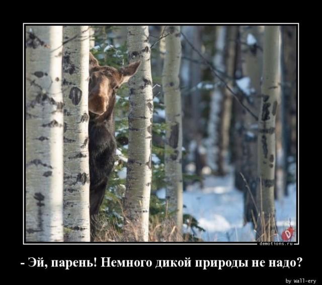 Демотиваторы вторника (20 фото)