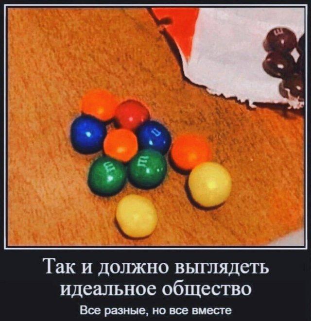 Демотиваторы вторника (20 фото)