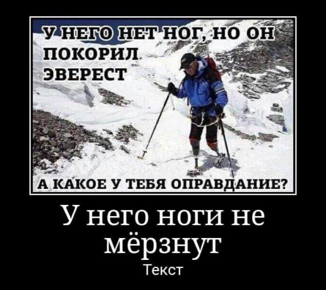 Демотиваторы вторника (20 фото)
