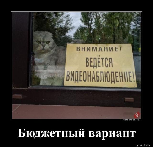 Демотиваторы пятницы (20 фото)