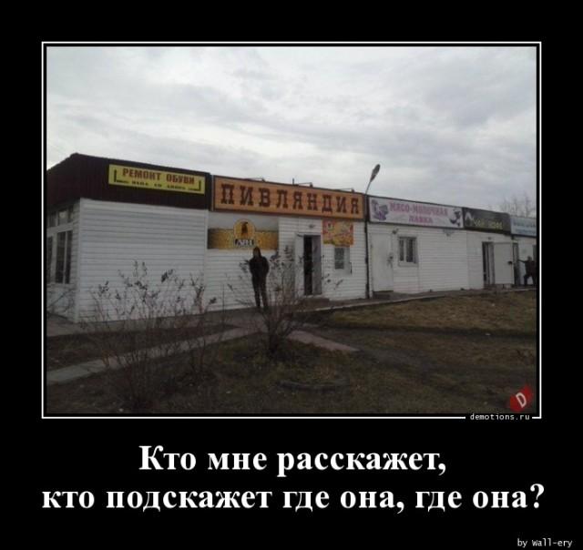 Демотиваторы пятницы (13 фото)