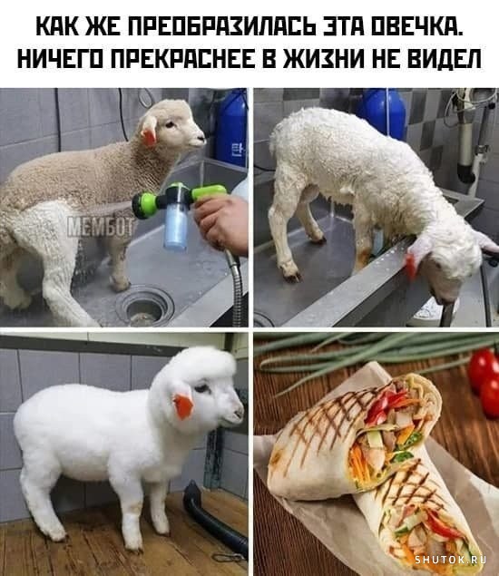 Минутка черного юмора (30 фото)