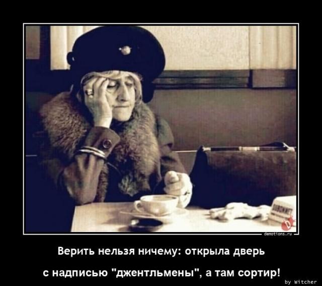 ������������ ������������ (15 ����)