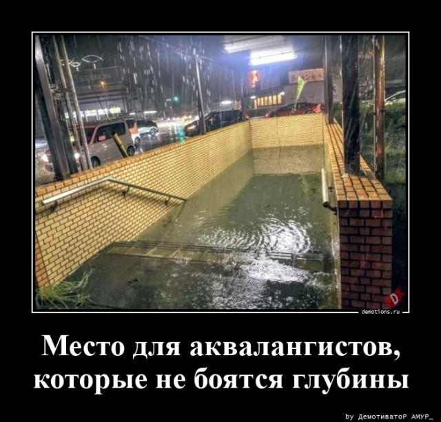 ������������ ������������ (15 ����)
