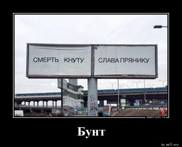 ������������ ������������ (15 ����)