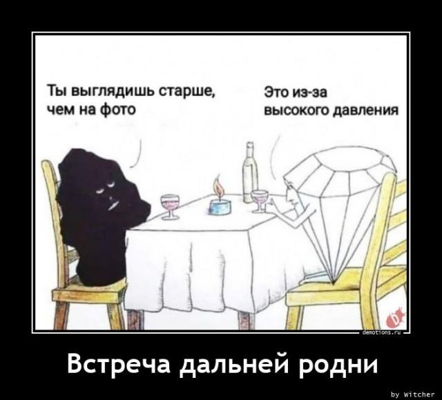 ������������ ������������ (15 ����)