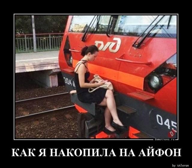 ������������ ������������ (15 ����)