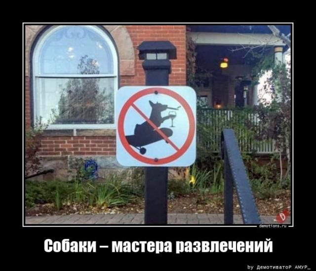 ������������ ������������ (15 ����)